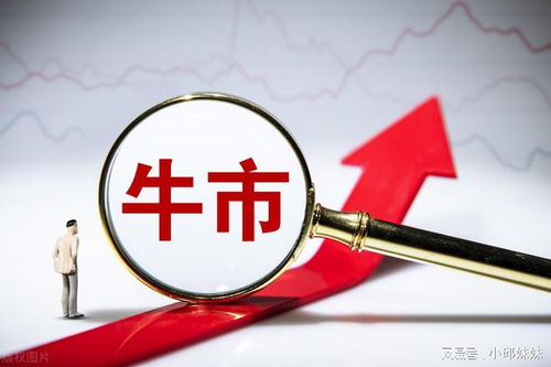 知識產(chǎn)權(quán)保護(hù)概念股蓄勢待發(fā) 政策風(fēng)口下，龍頭引領(lǐng)行業(yè)機(jī)遇