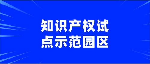 2020年上海市知識產(chǎn)權(quán)試點(diǎn)示范園區(qū)知識產(chǎn)權(quán)服務(wù)申報(bào)通知